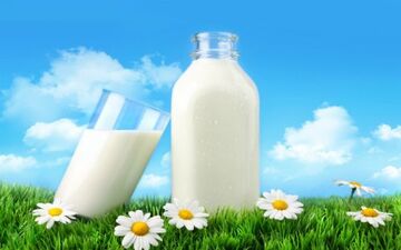 شیر و آفتاب را فراموش نکنید