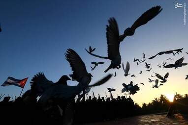 50 تصویر برگزیده جهان در سال 1395