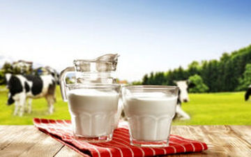 
روشی جدید برای تشخیص آسان شیرهای تقلبی