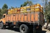۳ کامیون حامل ۳۱۰۰ قطعه مرغ زنده غیرمجاز در محور هراز توقیف شد