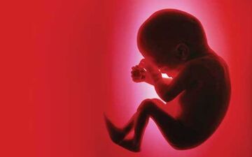  مصرف این ادویه خوشمزه باعث سقط جنین می‌شود