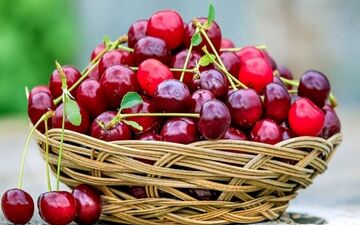  این میوه را حتما شب ها بخورید
