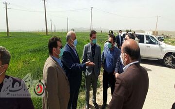 بازدید استاندار کرمانشاه و هیات همراه از پروژه گلخانه ۲۴ هکتاری تپه داراب خانه دشت ذهاب/ به روایت تصویر