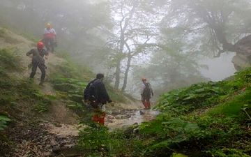 مفقود شدن گردشگران در جنگل نور 

