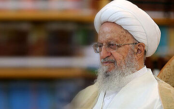 آیت الله مکارم شیرازی: مردم از سفرهای غیرضروری پرهیز کنند