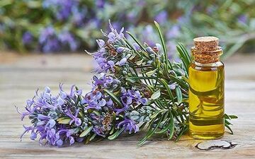  با خواص روغن رز ماری آشنا شوید