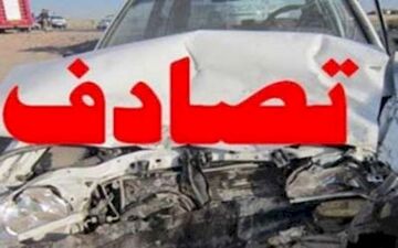 دو کشته در واژگونی کامیون کمپریسی