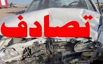 دو کشته در واژگونی کامیون کمپریسی