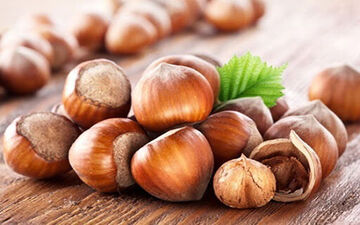 از خواص فندق چه می دانید؟