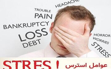 آرامش در بشقاب شما/ طب سنتی چگونه استرس را کاهش داده و گوارش را بهبود می‌بخشد؟