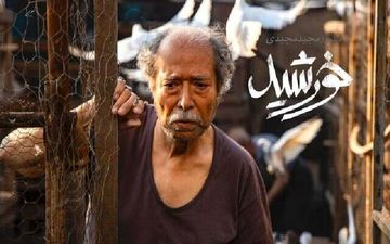 
«خورشید» در فهرست ۱۵تایی اسکار بهترین فیلم بین‌المللی
