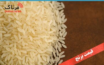 قیمت جدید انواع برنج خارجی امروز ۲۷ تیر ۱۴۰۵ | برنج پاکستانی و هندی ۱۰ کیلویی چند شد؟ + جدول قیمت
