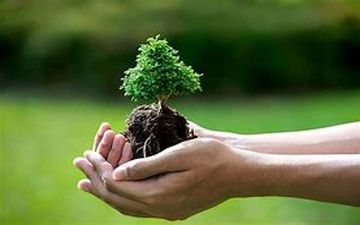 روز درختکاری در کرمانشاه+گزارش تصویری
