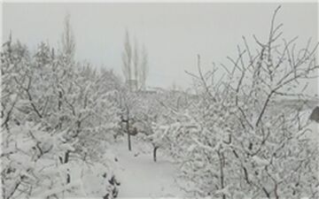  کاهش محسوس دما در کشور از فردا