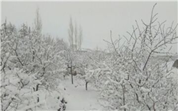  کاهش محسوس دما در کشور از فردا