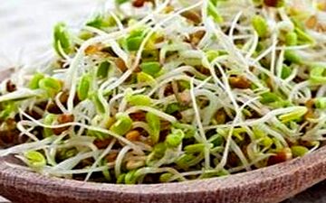  ارزش غذایی جوانه های خام