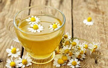 این گیاه دیابت را نابود می کند