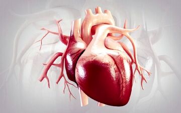  تاثیرات مثبت حمام آب گرم بر سلامت قلب و عروق