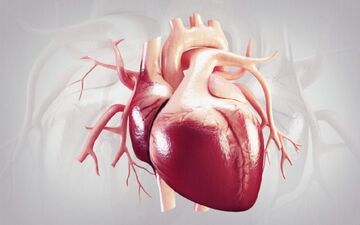  تاثیرات مثبت حمام آب گرم بر سلامت قلب و عروق