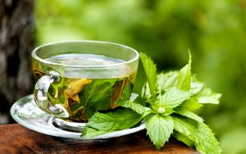 خواص چای نعناع| چای نعنا چگونه باعث لاغری افراد می‌شود؟