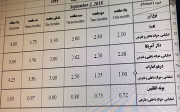 شرایط متفاوت سپرده‌گذاری ارزی/ سود دلار هم منحرف شد