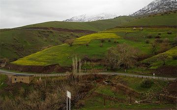 بانه، قلب تپنده یک صنعت 400 ساله