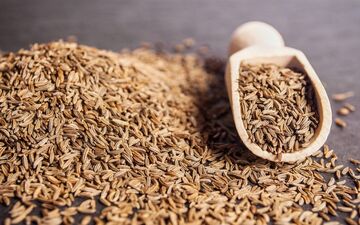 از تسکین دندان درد تا لاغری با این گیاه