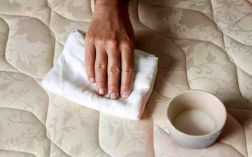 از بین بردن بو و لکه ادرار حیوانات خانگی| با این ترفندها کارت راحت میشه!