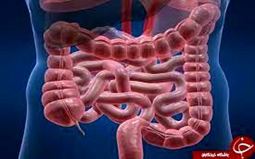 با این تکنیک ها سلامت روده خود را تضمین کنید|مراقب سلامتی خود باشید