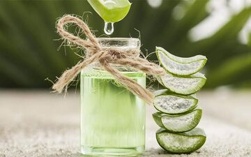 بهترین خوراکی‌ها برای حفظ سلامت روده‌ها