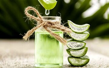 بهترین خوراکی‌ها برای حفظ سلامت روده‌ها