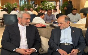 وزیر اقتصاد ایران به هند سفر کرد تا در اجلاس بریکس شرکت کند