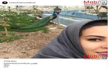 سلفی حدیثه تهرانی به همراه یک طاووس (عکس)