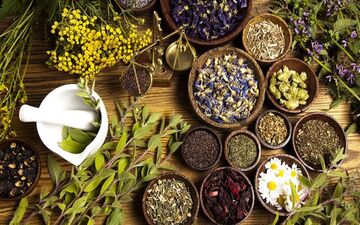 گیاهی برای بهبود تنفس