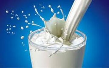 وجو وایتکس در لبنیات سنتی