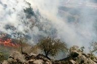 آتش سوزی مراتع جنگلی گیلانغرب مهار شد