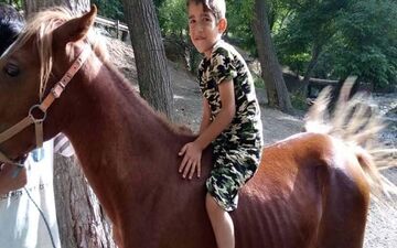 اعضای بدن پسر بچه ۸ ساله قمی اهدا شد