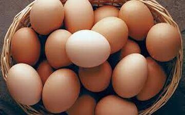 چرا مصرف این ماده غذایی ضروری است؟