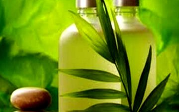 تاثیر گیاه خرفه بر درد سالمندان