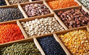  نرخ جدید حبوبات در میادین میوه و تره‌بار تهران اعلام شد 