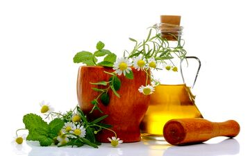 خواص و فواید فوق العاده گیاه افنان برای خانم ها