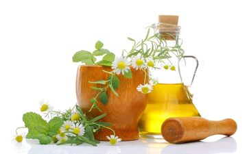 خواص و فواید فوق العاده گیاه افنان برای خانم ها