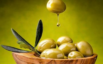 اهمیت زیتون در طب سنتی| خواص «وَالزَّیْتُونِ» معجزه‌گر

