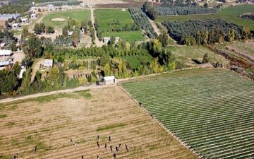 رژیم صهیونیستی، زمین‌های کشاورزی فلسطینیان را زیر آب غرق کرد