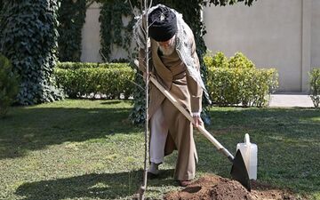 همزمان با روز درختکاری رهبر معظّم انقلاب دو اصله نهال میوه غرس کردند