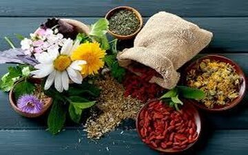 راه های طب ایرانی در حفظ سلامتی در فصل بهار