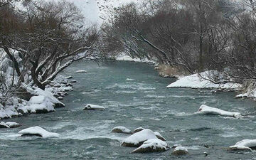 کشف یک جسد در رودخانه کرج