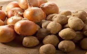 ممنوعیت صادرات سیب زمینی و پیاز از ۱۵ فروردین