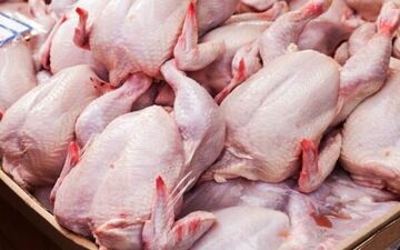  با حذف ارز ترجیحی قیمت محصولات پروتئینی چقدر می شود؟ 