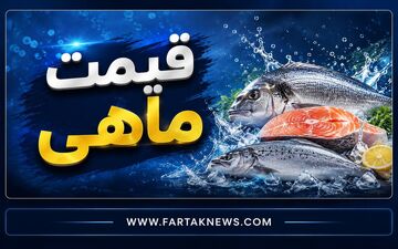 قیمت ماهی امروز ۱۱ مرداد ۱۴۰۵؛ جدیدترین نرخ قزل‌آلا، سالمون و سی‌باس